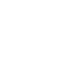 wordpress vector